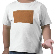 Panoramic view of Mars 10 T Shirts