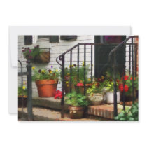 Pansies and Geraniums on Stoop Announcements