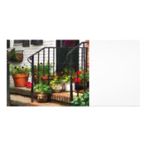 Pansies and Geraniums on Stoop Customized Photo Card