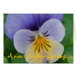 Pansies Greeting Card