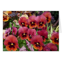 Pansies Card for you!