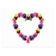 Pansies Heart Postcard