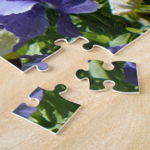 Pansies Puzzles