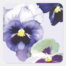 Pansies Square Stickers