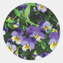 Pansies Stickers