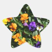 Pansies Stickers