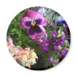 Pansy and friends Magnet