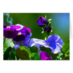 PANSY CARD-ANY OCCASION