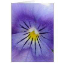 Pansy Cards