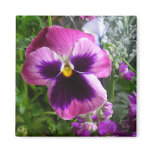 pansy face fridge magnet