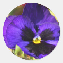 Pansy Flower stickers