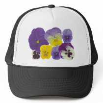 pansy flowers