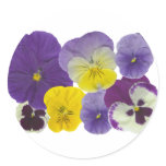 pansy flowers