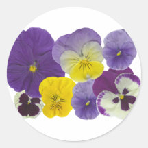 pansy flowers stickers