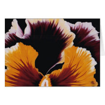Pansy Greeting Card