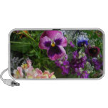 Pansy N Friends Speaker