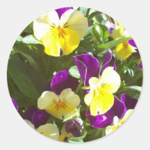 Pansy Patch Sticker