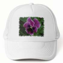 Pansy Pictures Baseball Cap