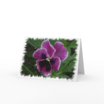 Pansy Pictures Greeting Card