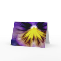Pansy & Raindrops Photography Greeting Cards