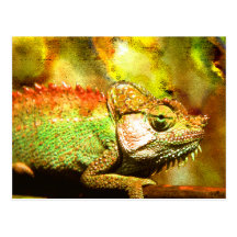 Panther chameleon Digital art Post Cards