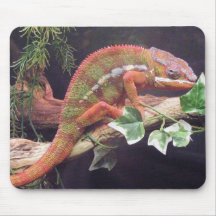 Panther Chameleon Mouse Pad