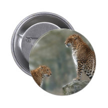 Panthers  Button