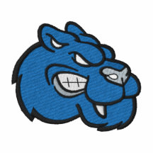Panthers Embroidered Shirt