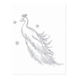 Paon blanc de sommeil cartes postales