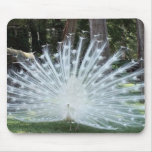 Paon blanc Mousepad Tapis De Souris