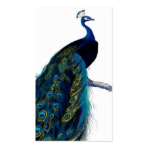 Paon coloré élégant bleu vintage cartes de visite professionnelles