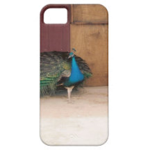 Paon Coque Case-Mate iPhone 5