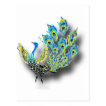 Paon de danse cartes postales