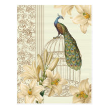 Paon et lis vintages sophistiqués de cage cartes postales