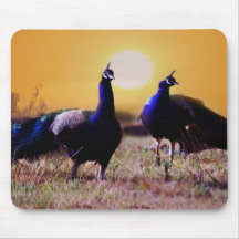 Paons bleus tapis de souris