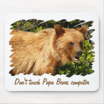 Papa Bear Mousepads