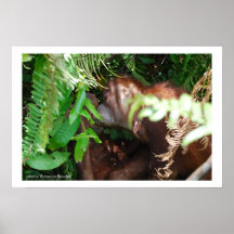 Paparazzi Passionate Kisses Print