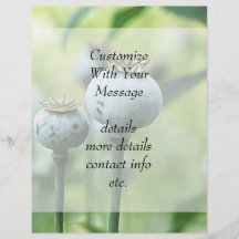 Papaver Somniferum Seed Heads Flyers