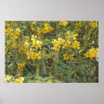 Paper Flower (Paper Daisy) ~Print~