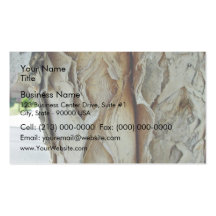 Paperbark tree closeup business card templates