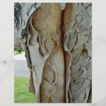 Paperbark tree closeup personalized flyer