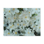 Paperwhite Narcissus Postcard