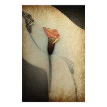 Papeterie de zantedeschia papier à lettre