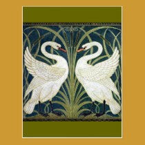 Papier peint de cygne et de précipitation et d'iri cartes postales