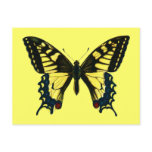 Papilio machaon postcards