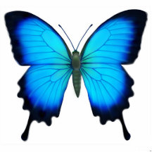 Papilio Ulysses Butterfly Ornament Photo Cut Outs