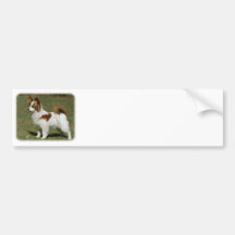 Papillon 9Y390D-027 Bumper Stickers