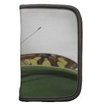 Papillon Agendas Folio