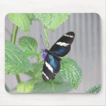Papillon bleu et noir et blanc Mousepad Tapis De Souris