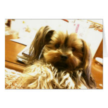 papillon card